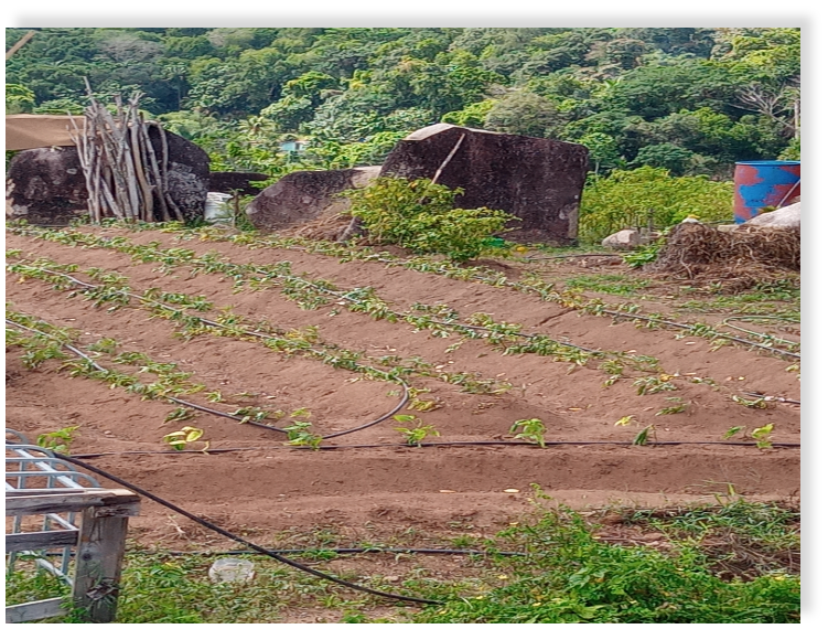 Seychelles Breweries Limited  <h3>Water & Sustainability</h3>
<h4>Without Water Seybrew Would Not Exist.</h4>